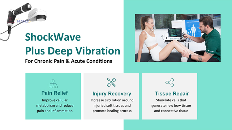 Oceanus Physio Pro Acoustic Radial Pulse Shock Wave Therapy